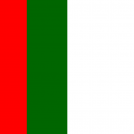 Flag_of_the_Muttahida_Qaumi_Movement
